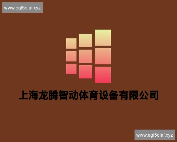 上海龙腾智动体育设备有限公司