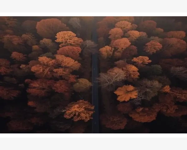 B2B寄售库存所有权转移节点设定